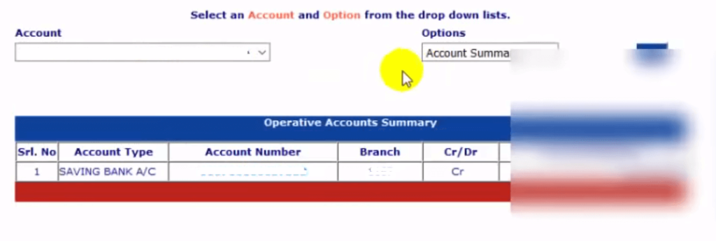 Andhra account balance check