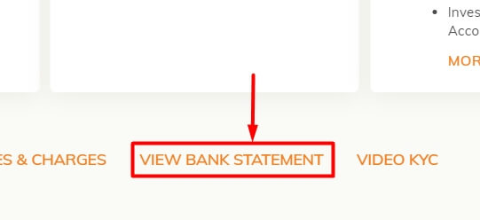 click on view bank statement