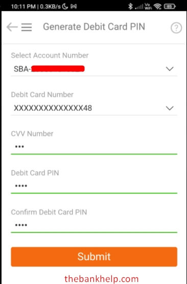 enter cvv and new debit card pin
