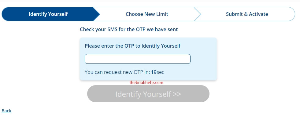 enter otp to increase limit