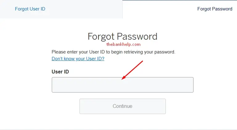 enter amex user id to recover password