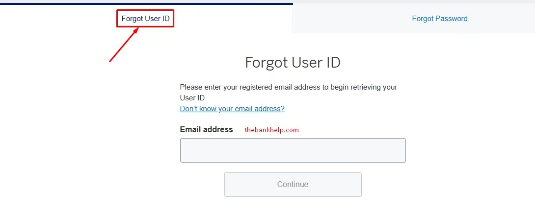 enter email id to reset user id in amex