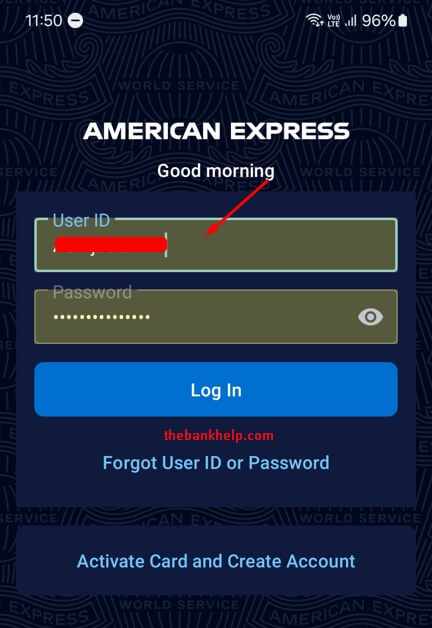 enter login details in amex app